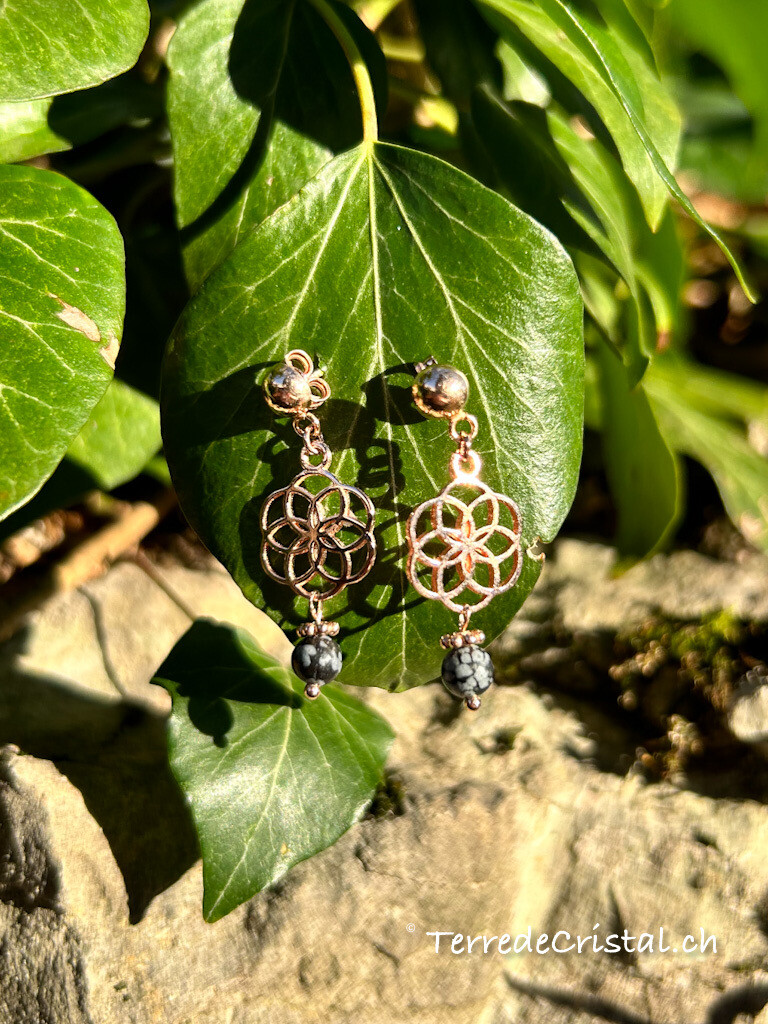 Boucles d&#39;oreilles &quot;Renforcement&quot;