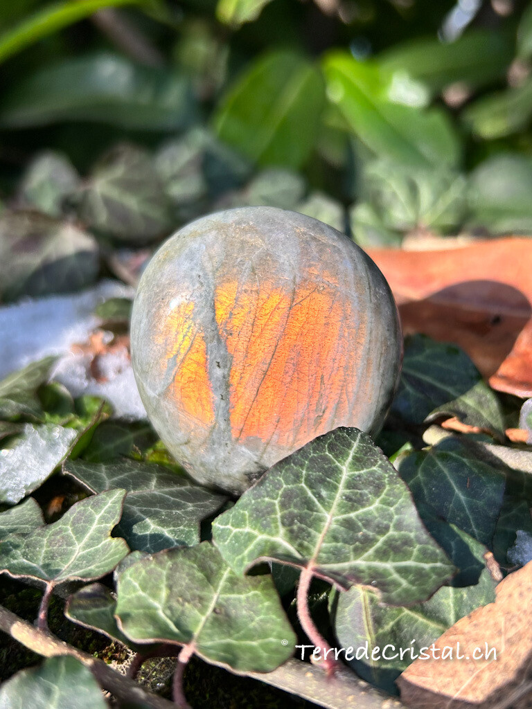 Galet en Labradorite