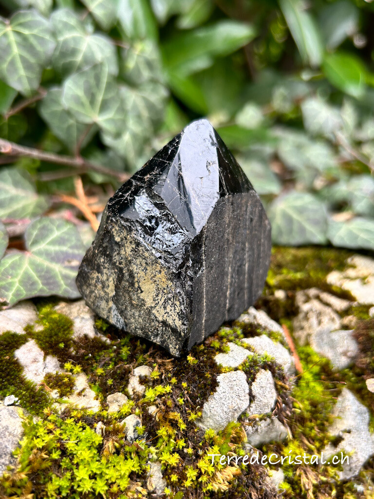 Pointe de Tourmaline noire semi-brute