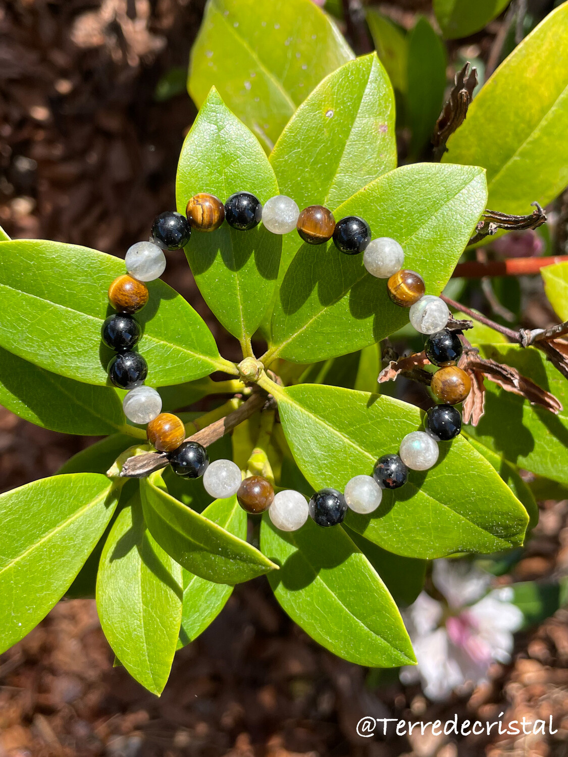 Bracelet "protection"