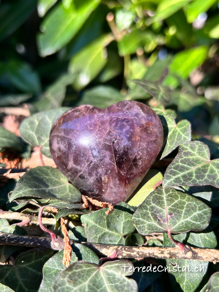 Coeur en Super seven