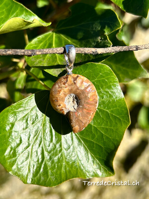 Pendentif Ammonite