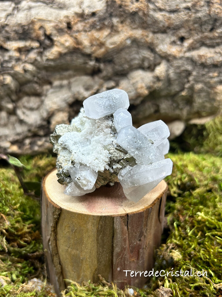 Calcite - Pyrite brute