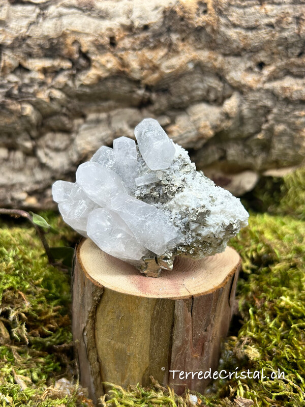 Calcite - Pyrite brute