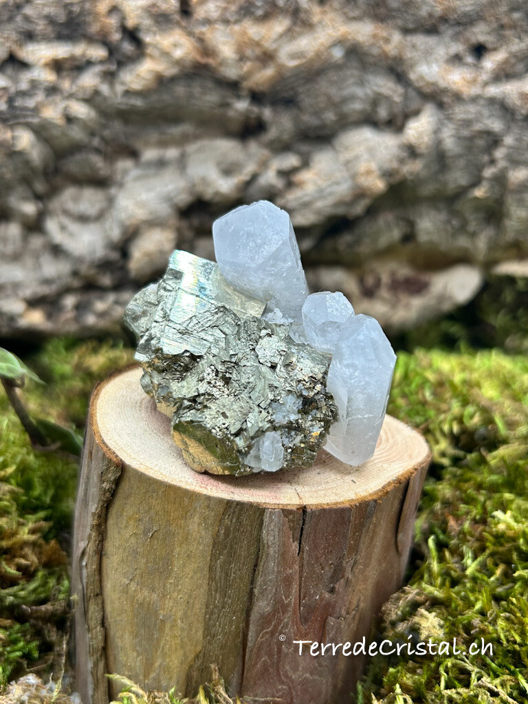 Calcite - Pyrite brute