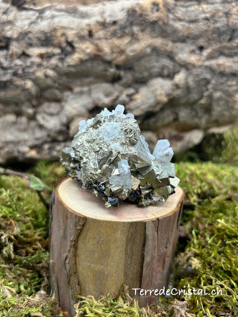 Calcite - Pyrite brute