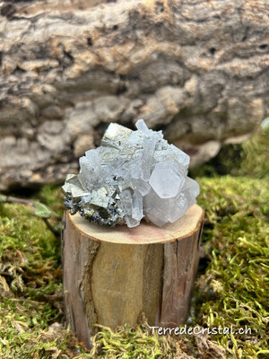 Calcite - Pyrite brute