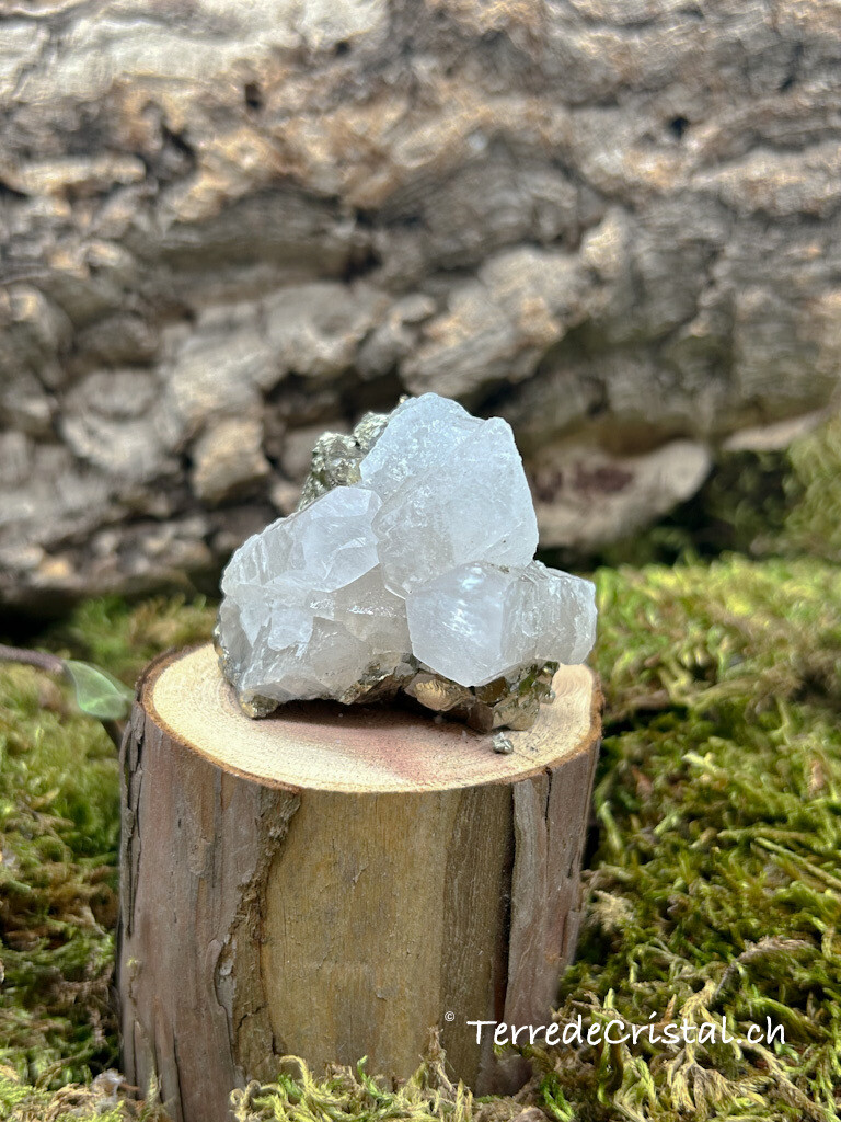 Calcite - Pyrite brute