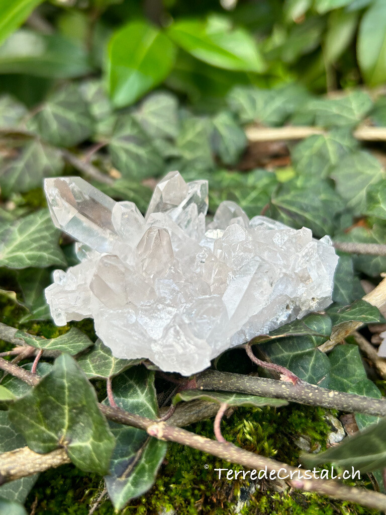 Druze de Cristal de roche