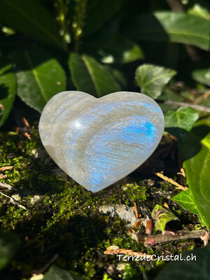 Coeur en Pierre de lune bleutée (péristérite)