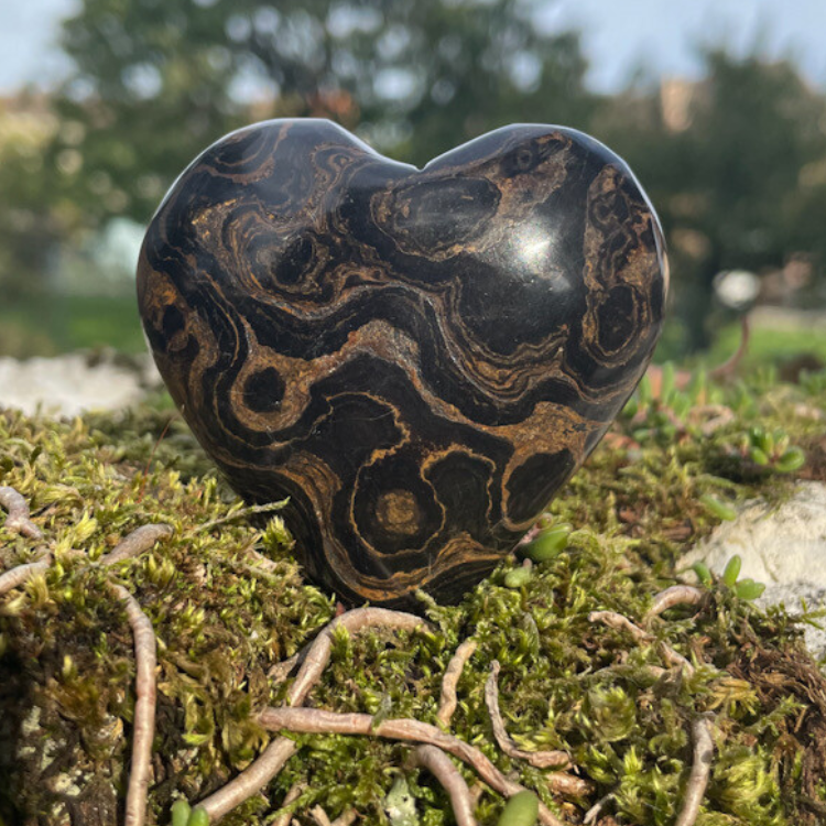 Stromatolite