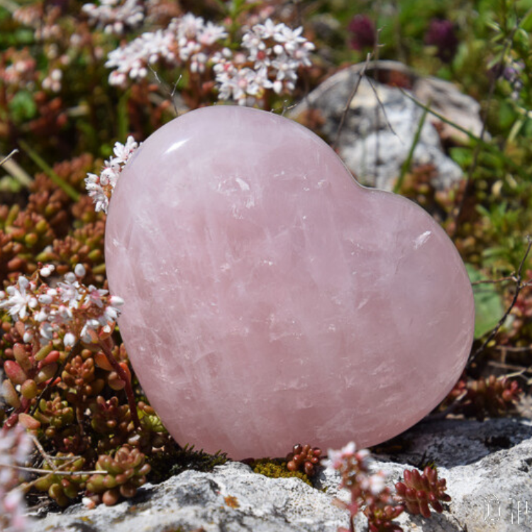 Quartz rose