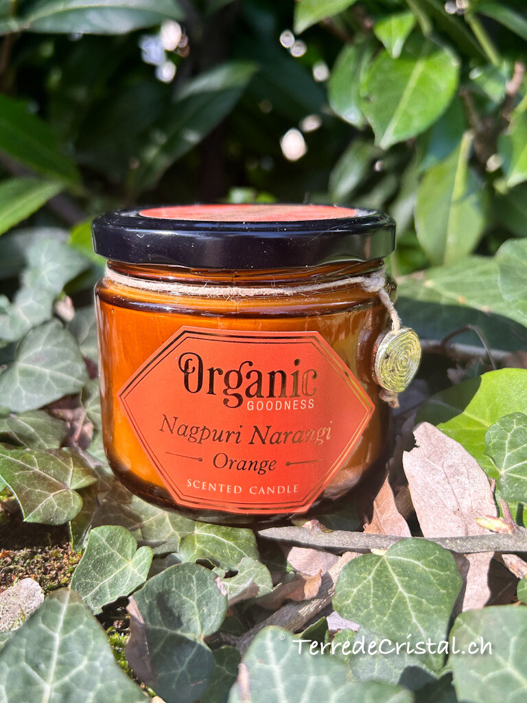 Bougie Organic Goodness Orange