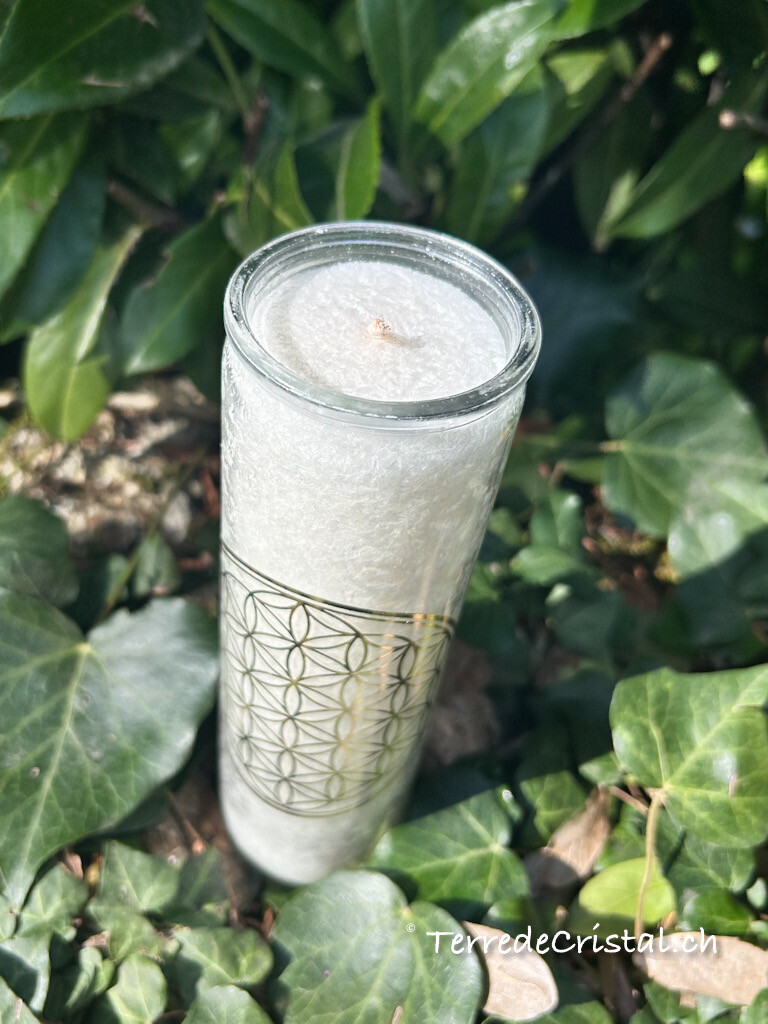 Bougie Fleur de vie blanche