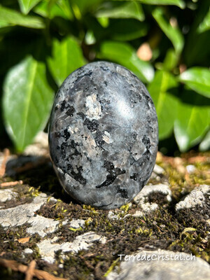 Lavakite / Larvikite