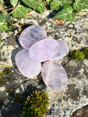 Quartz rose lavande plat