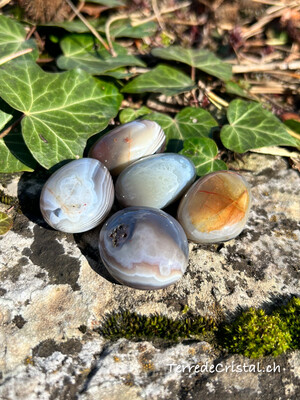 Agate du Botswana roulée