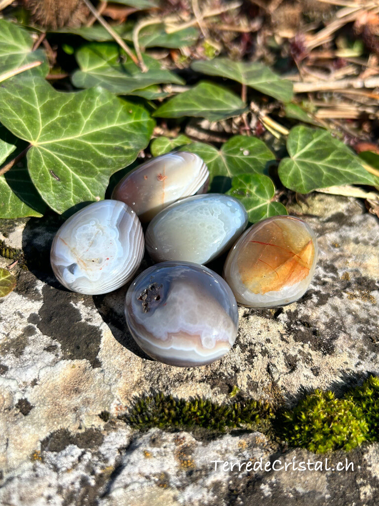 Agate du Botswana roulée