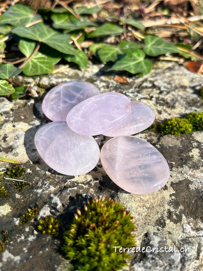 Quartz rose lavande plat