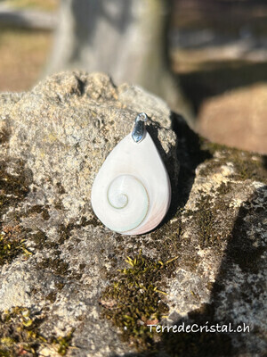 Oeil de Sainte-Lucie