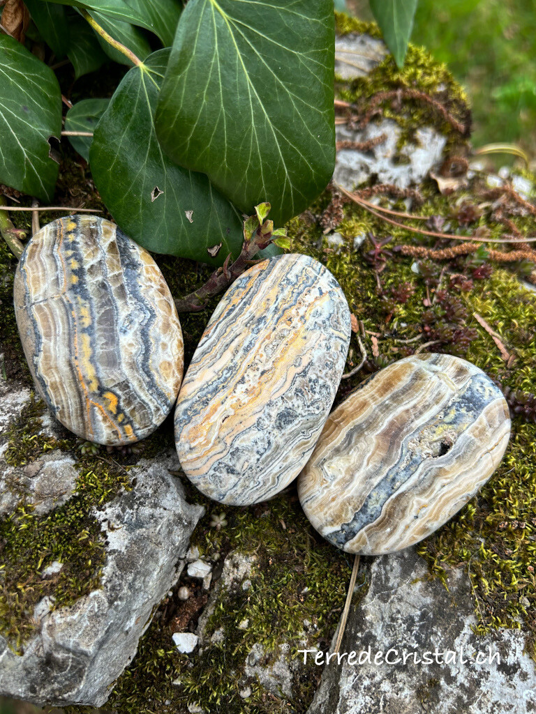 Galet en Jaspe léopard