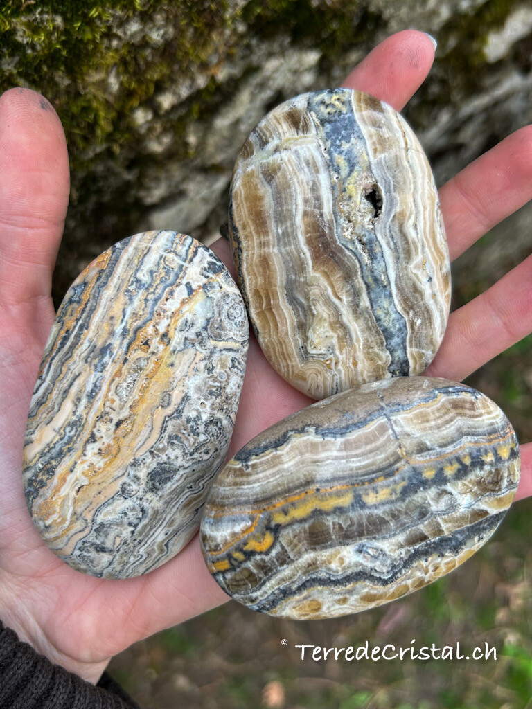 Galet en Jaspe léopard