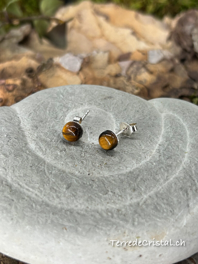 Clous d'oreilles en Oeil de tigre