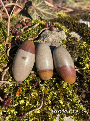 Shiva lingam
