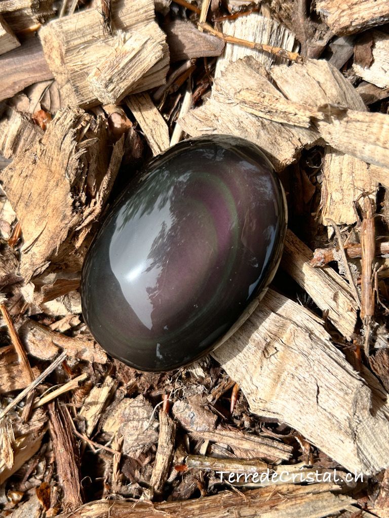 Galet en Obsidienne oeil céleste