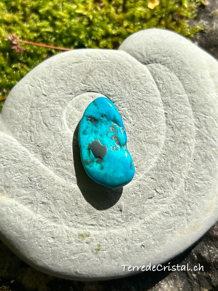 Turquoise Sleeping Beauty roulée