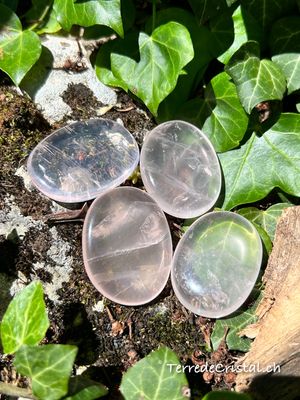 Quartz rose plat