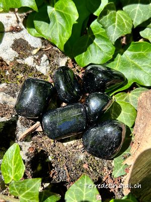 Tourmaline noire roulée