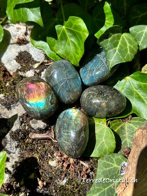 Labradorite roulée