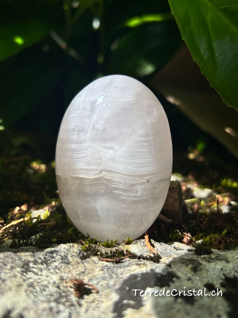 Galet en Mangano-Calcite