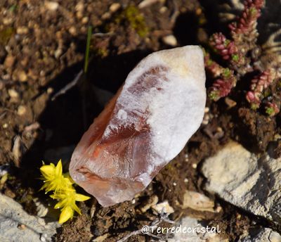 Quartz lémurien