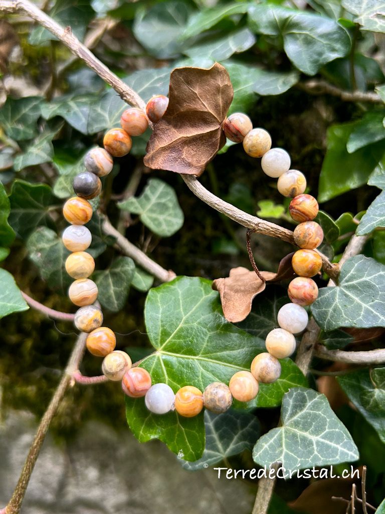 Bracelet en Agate crazy lace 6mm