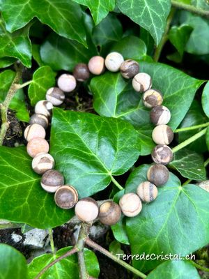 Bracelet en Jaspe Moka 8 mm