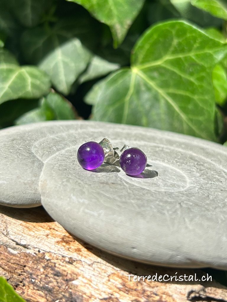 Clous d'oreilles en Améthyste