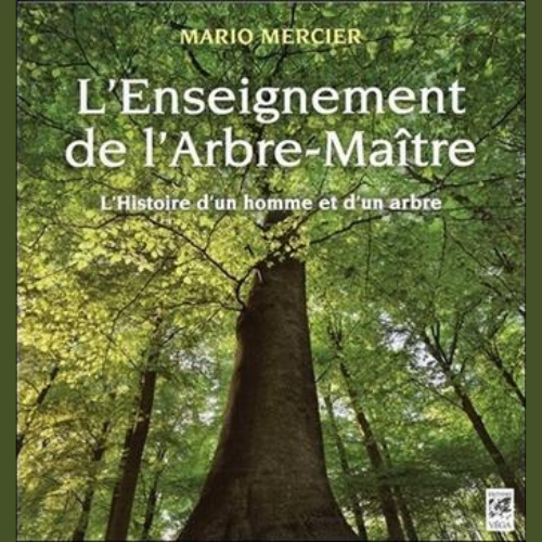 Livre "L'Enseignement de l'Arbre-Maître"
