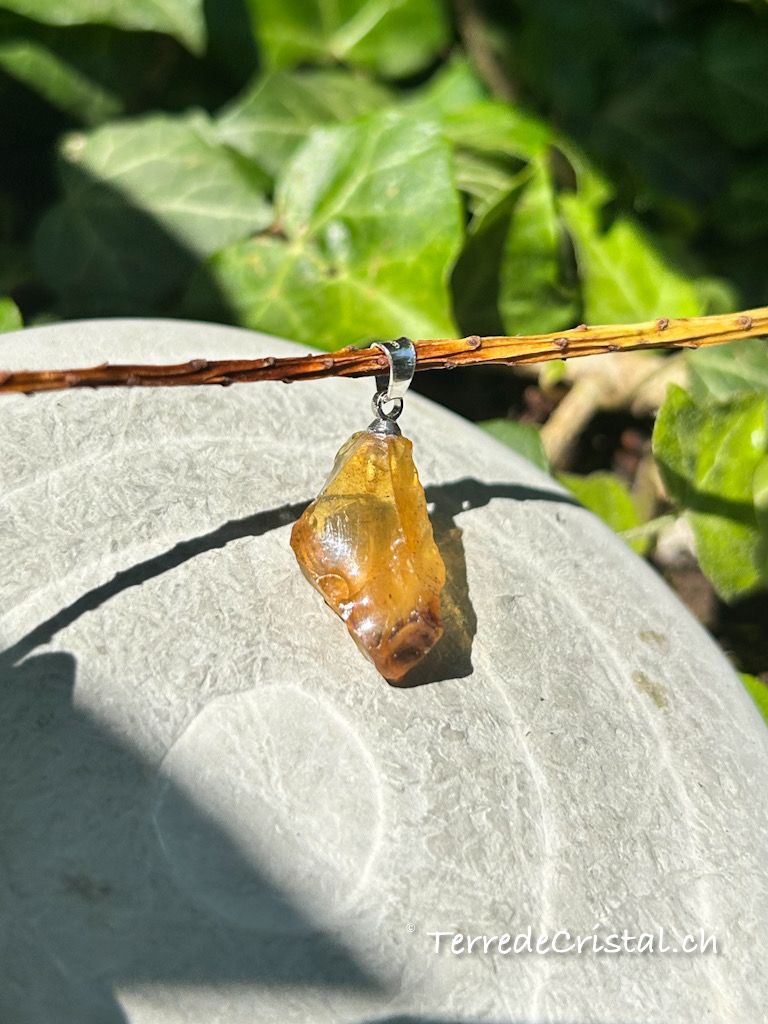 Pendentif en Ambre brut