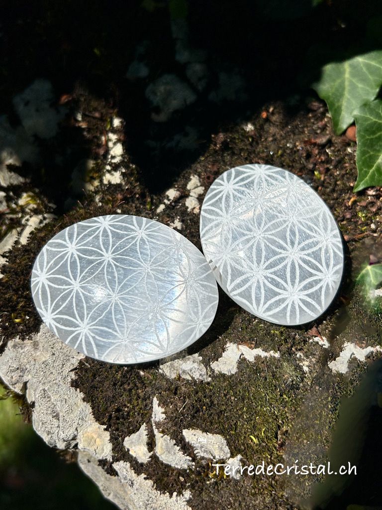 Galet en Sélénite gravé Fleur de vie