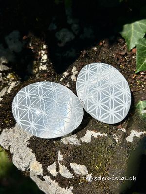 Galet en Sélénite gravé Fleur de vie