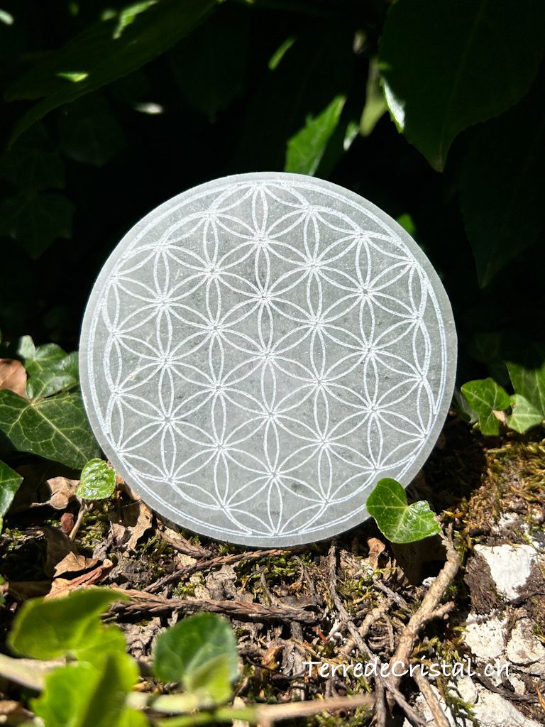 Plaque en Sélénite gravée fleur de vie