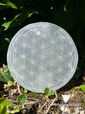Plaque en Sélénite gravée fleur de vie