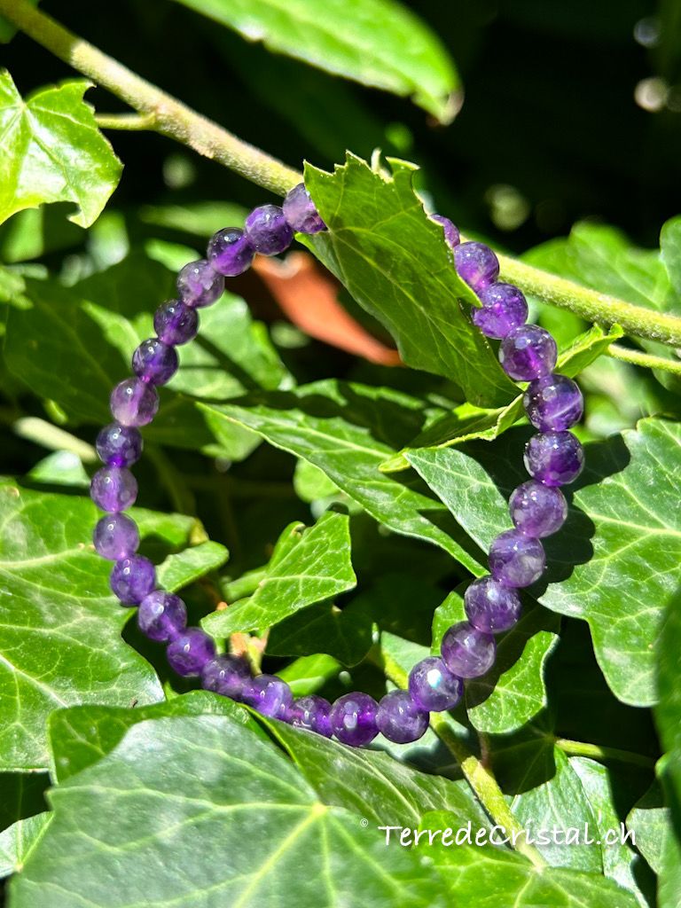 Bracelet en Améthyste facettée 6mm