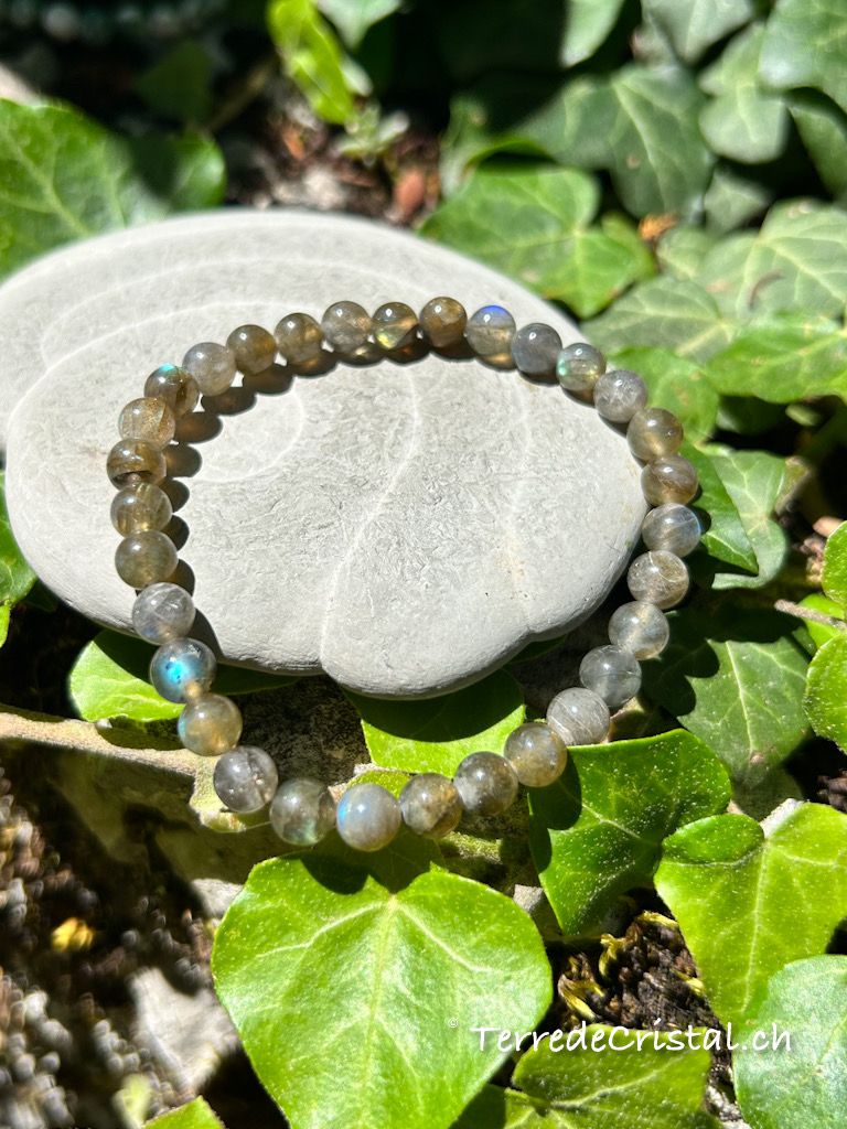 Bracelet en Labradorite 6mm