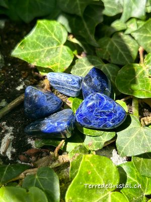 Sodalite roulée