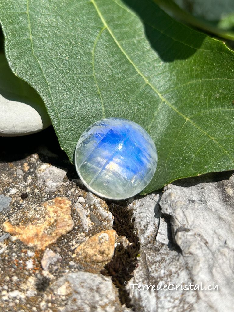 Cabochon en Pierre de lune bleutée (péristérite)