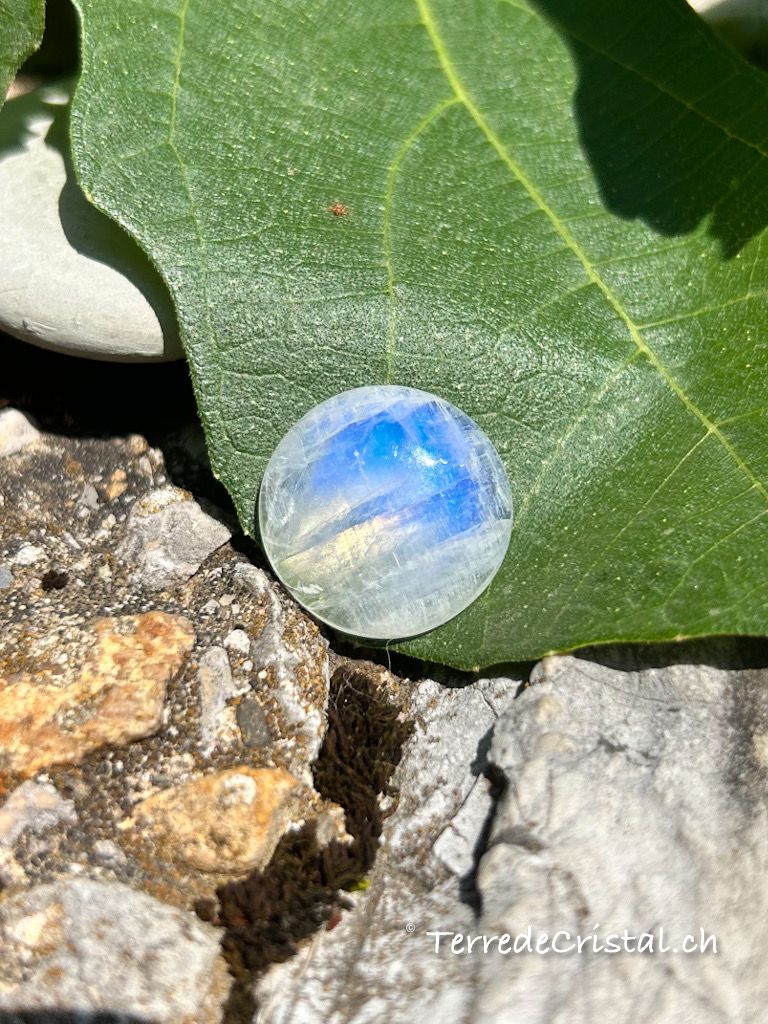 Cabochon en Pierre de lune bleutée (péristérite)