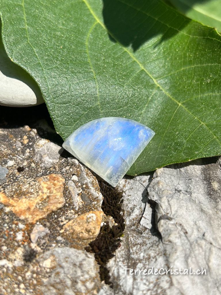 Cabochon en Pierre de lune bleutée (péristérite)